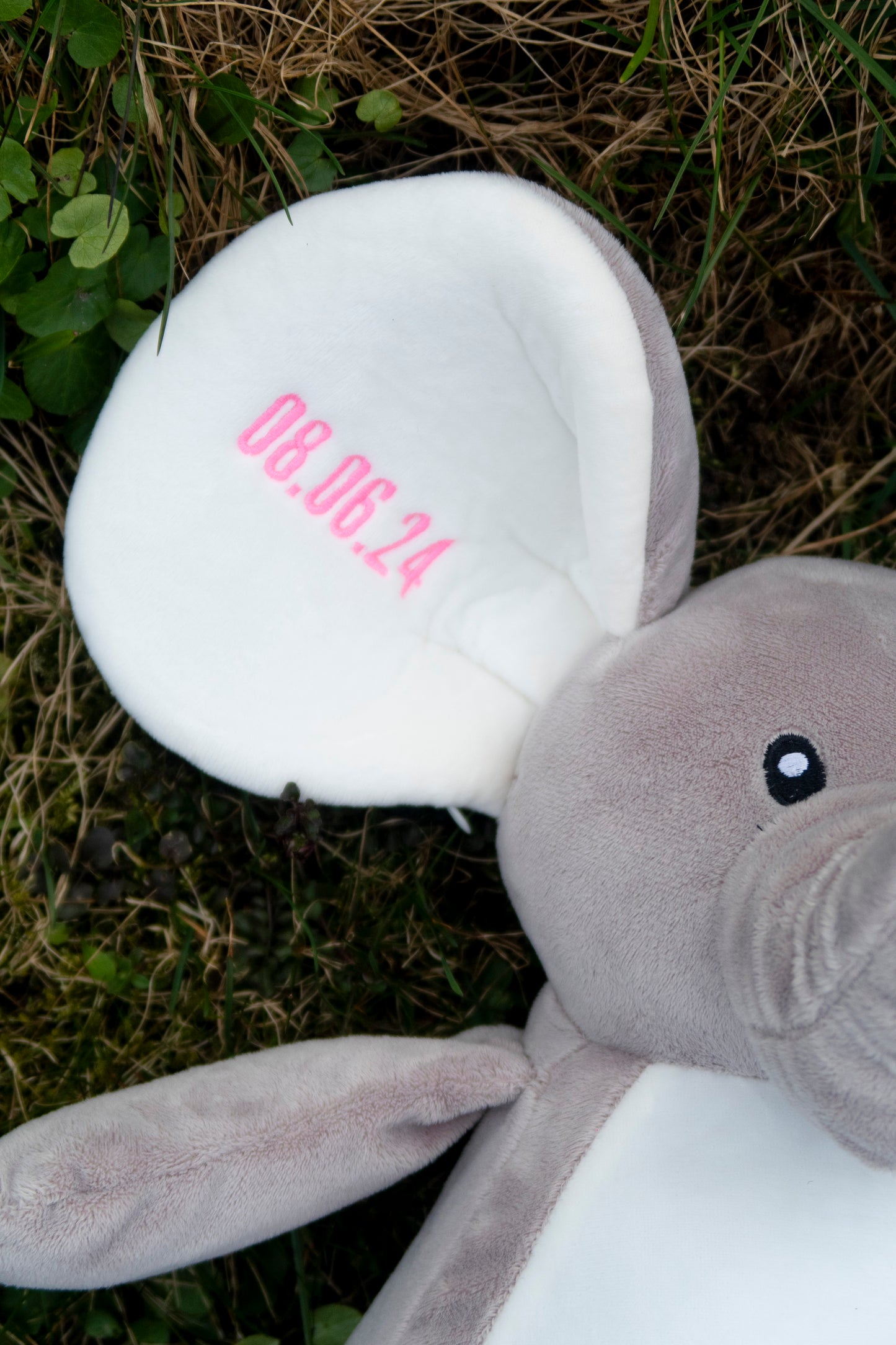 Stor bamse med navn og fødselsdata - Elefant